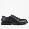 HARVEY Rugged-black Tip-laced Shoes.