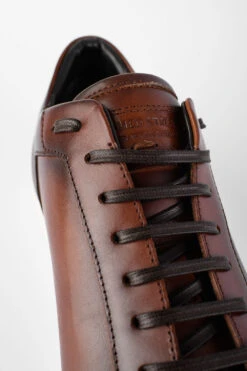 SOHO Cocoa-brown Patina Sneakers. -Untamedstreet Shop IMG 02780