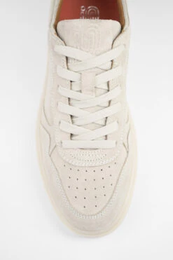 MAEVE Milky-white Suede Sneakers. -Untamedstreet Shop MAEVE milky white suede sneaker MACRO W 00418