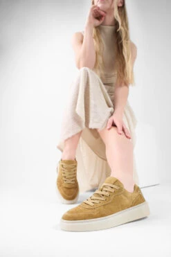 MAEVE Cool-mustard Suede Sneakers. -Untamedstreet Shop MAEVE ochre yellow suede sneaker LF SS25 03280
