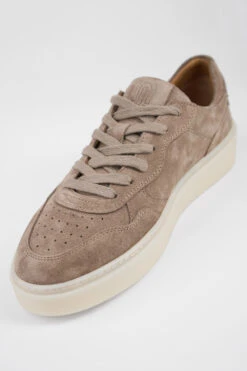 MAEVE Soft-taupe Suede Sneakers. -Untamedstreet Shop MAEVE taupe suede sneaker MACRO W 00581