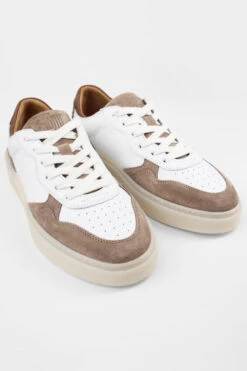 MAEVE Taupe-white Suede Sneakers. -Untamedstreet Shop MAEVE white brown suede taupe sneaker FRONT 08098