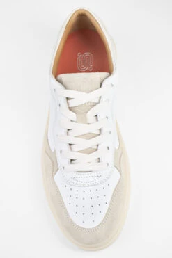 MAEVE Double Milky-white Sneakers. -Untamedstreet Shop MAEVE white suede milky white sneaker MACRO W 00403 1